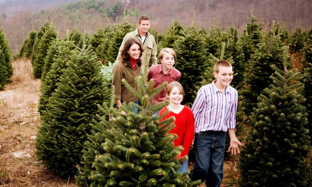 Getting a christmas outlet tree